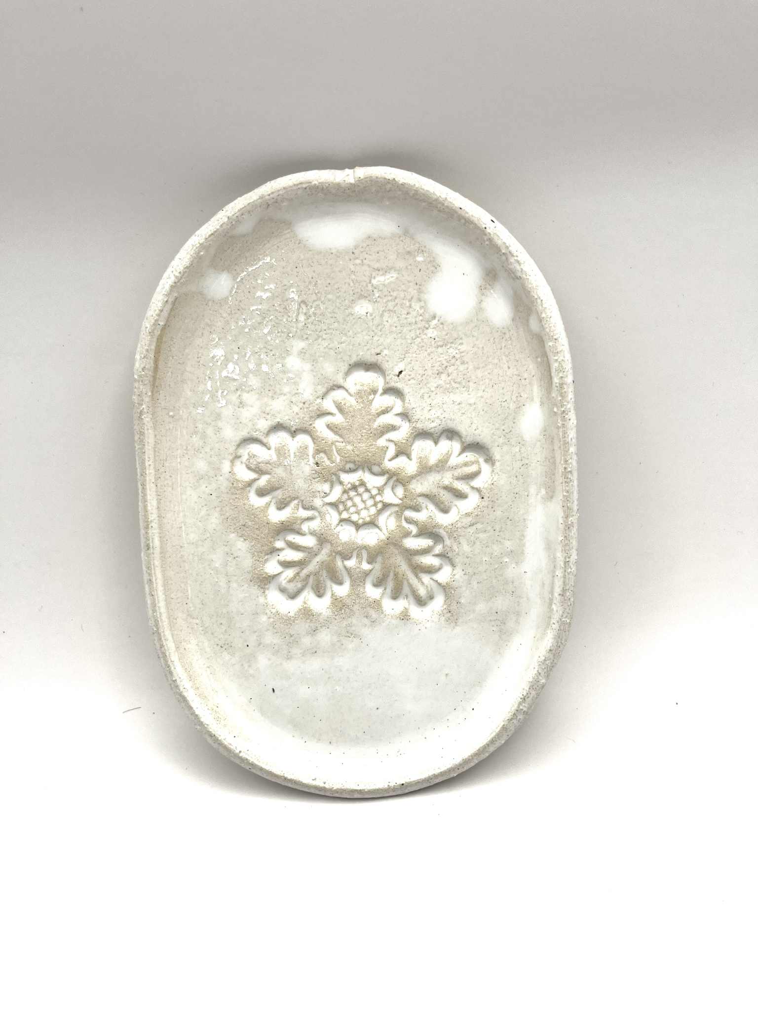 dąb biała mydelniczka biała liść Dębu